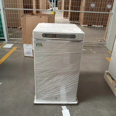 60L capacidade pequena Mini Pharmaceutical Refrigerator com a porta espumada para o hospital