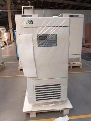Mini congelador de baixa temperatura de aço inoxidável com CE