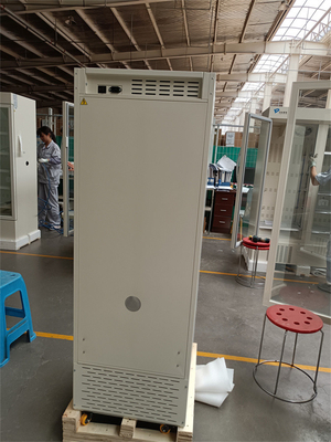 Menos 40 graus 528 litros de congelador médico ereto da capacidade com a porta de formação de espuma dobro