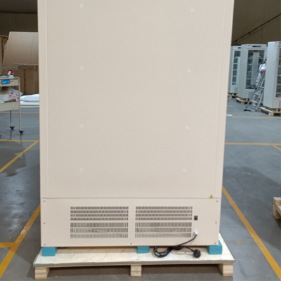 328 litros Capacidade menos 40 graus Free Standing Biomedical Deep Freezer para armazenamento de vacinas