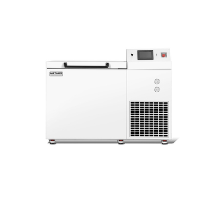 Refrigerador horizontal de baixa temperatura de 128 L de capacidade para os requisitos do cliente