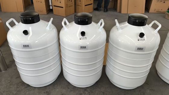 Embalador Criogênico Seco – Recipiente Portátil de Fase Vapor de LN₂ para Transporte de Amostras
