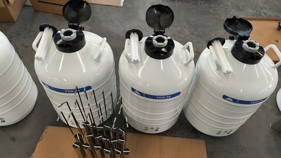 Embalador Criogênico Seco – Recipiente Portátil de Fase Vapor de LN₂ para Transporte de Amostras