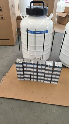LN2 Vapor Phase Dry Shipper Ideal para laboratório e logística clínica