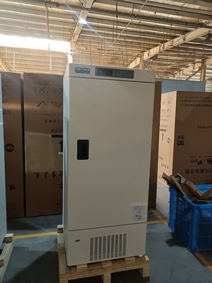 MDF-40V268E -40°C Congelador Profundo Médico | Congelador Biomédico de Alta Precisão de 268L para Laboratórios e Hospitais