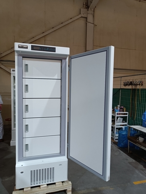 -40°C Congelador Biomédico Vertical Congelador Médico com 328L de capacidade e 5 portas internas